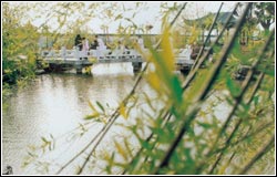 风景1