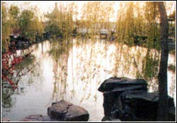风景5
