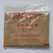 酿醋醋酸菌