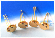 华伽电子2