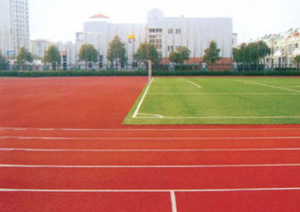 GB-700B 平拍式彩色弹性EPDM场地