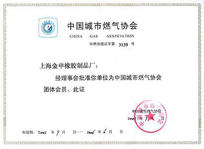 中国城市燃气协会