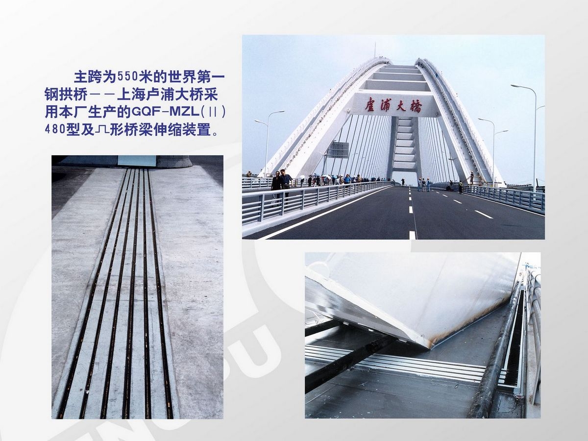 上海卢浦大桥采用本厂生产的GQF-MZL型伸缩缝