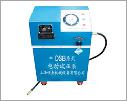 6DSB-系列电动试压泵-1