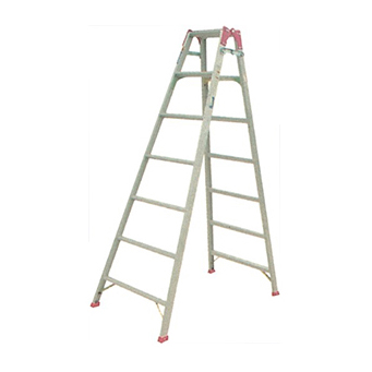 TZ 001  Ladder
