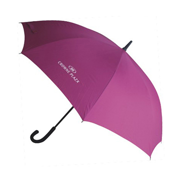 YS008  Long-handle Umbrella