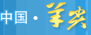 锡山区羊尖镇网站