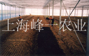 农业产品展示15