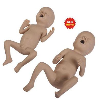 【商都】男婴睾丸_男婴睾丸一大一小_游客喂