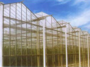 SLP小屋顶玻璃温室 