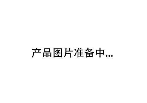 YP、YPEJ系列变频电机