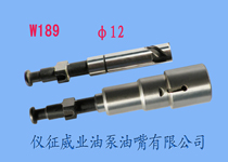 柱塞偶件w189