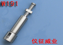 柱塞偶件w191