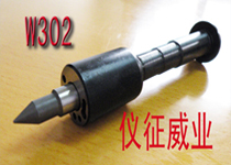 柱塞偶件w302