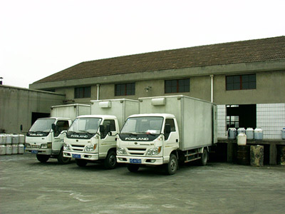 公司风采