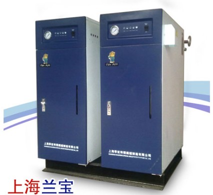 蒸发量10kg/h免检电锅炉